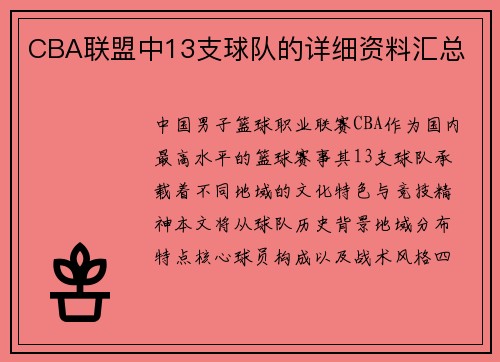 CBA联盟中13支球队的详细资料汇总