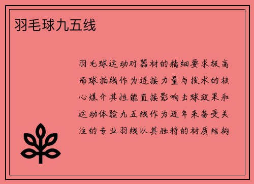 羽毛球九五线